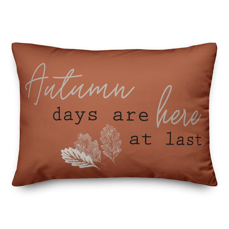 Housse de coussin rectangulaire et insert