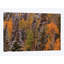 « contrasts » par bill sherrell, reproduction d’impression sur toile tendue-31987136-73867284-73867291