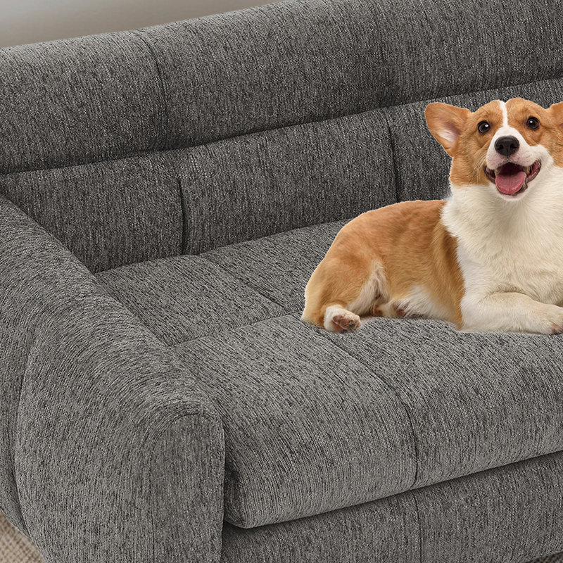 Canapé pour animaux de compagnie , Gris foncé