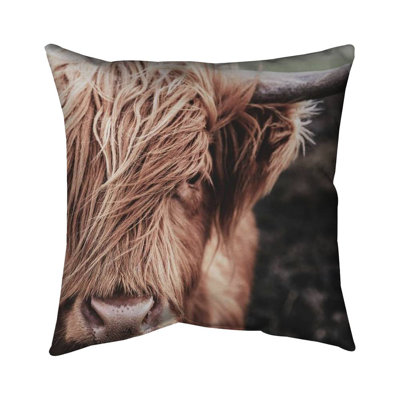 Desaturated highland cow - 18"x18" Outdoors Throw pillow - Spun poly - Print on demand