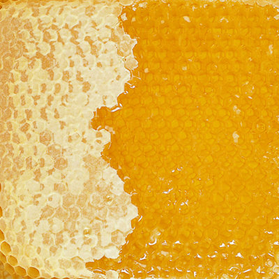 Honey Comb - photographie sur toile tendue