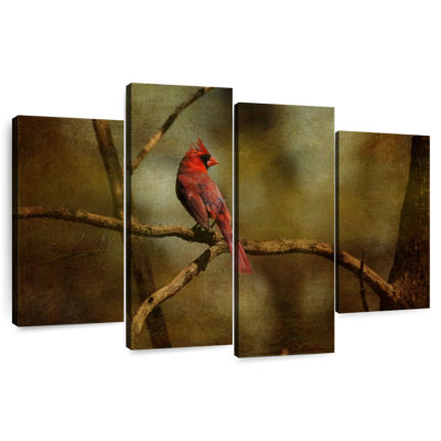 Cardinal sur une branche