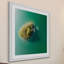Single Picture Frame Print-120219176