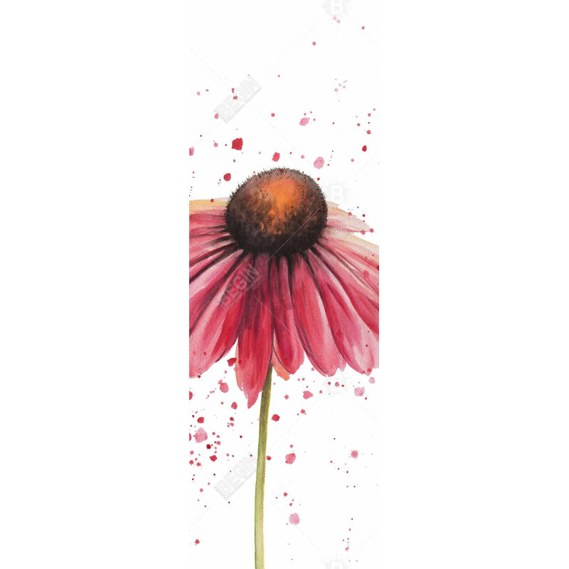 " Pink Daisy "