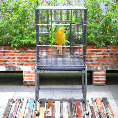 Kirt 135 cm Steel Flat Top Travel Bird Cage with Wheels with Stand with Perch with Tray