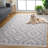 Lacie Performance Southwestern Rug-165406691