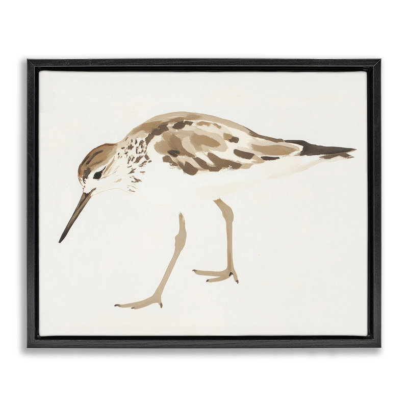 Cadre flottant Sandpiper Shore Bird, H 17 po x l 21 po, Cadre flottant noir de jais