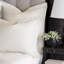Matera Pillow Sham-40207195-40207193