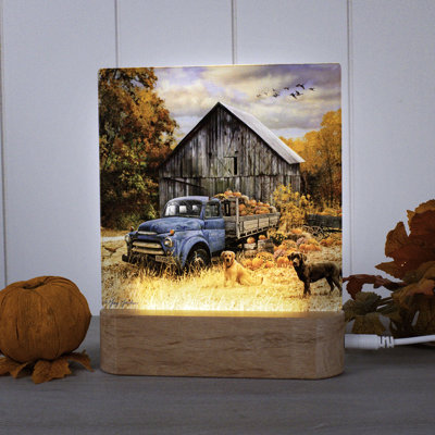 Harvest Day Night Light