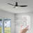 Edilberto 52'' Ceiling Fan with Lights-2003578981