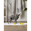 Couverture en polyester AQUA brodé PAW-57762342-57762344
