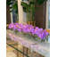 Orchid Floral Arrangement in Planter-1156158566