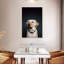Brampt Squinting Labrador-108244633