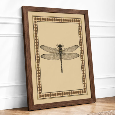 Dragonfly Study Vintage - Print