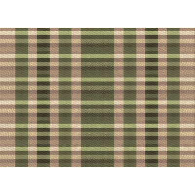 Checkered Indoor Rug