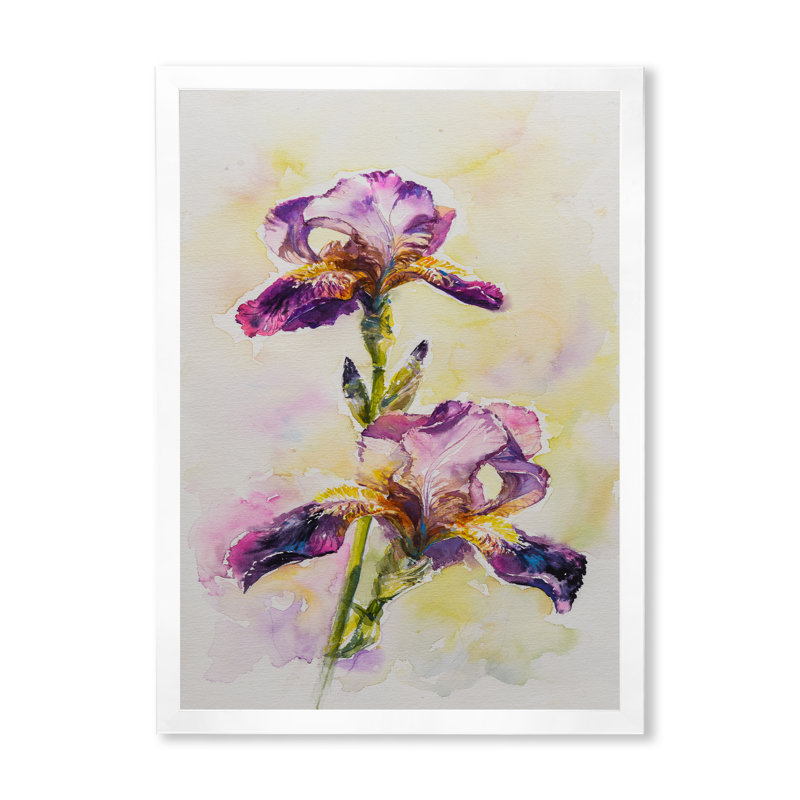 Aquarelle Iris fleur rose - décoration murale traditionnelle sur toile, Toile avec cadre blanc, H 40 po x l 30 po x P 1,5 po