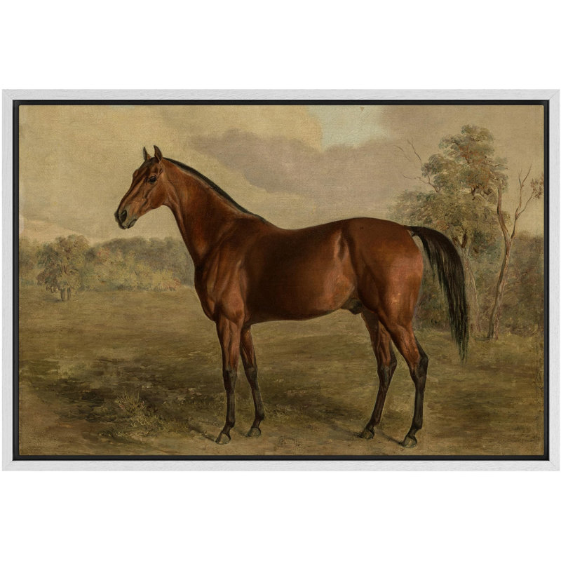 Portrait équestre d'un cheval châtaignier, illustrations équines classiques, campagne française rustique, Blanc