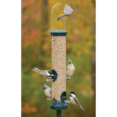 Mangeoire à oiseaux Krumm Spruce