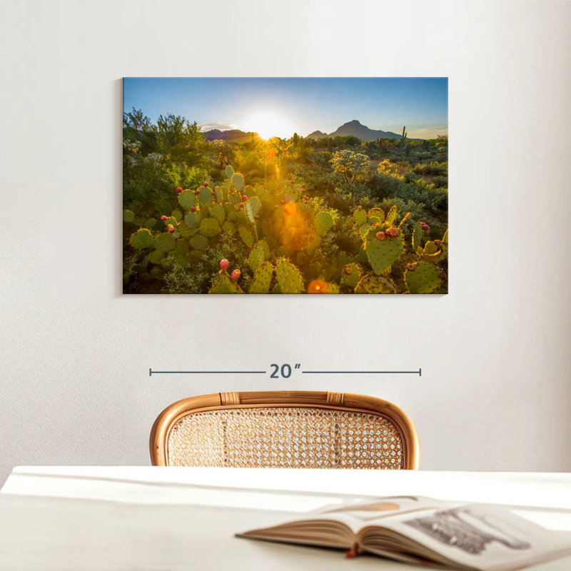 Harnek Cactus Desert Garden, H 16 po x l 24 po