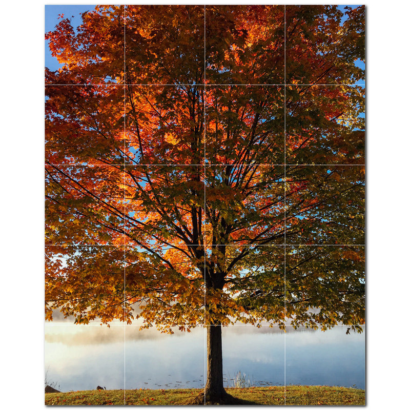 Photo d'automne 8 x 8