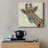" Patterned Giraffe " Print-30375678