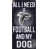 Falcons d'Atlanta