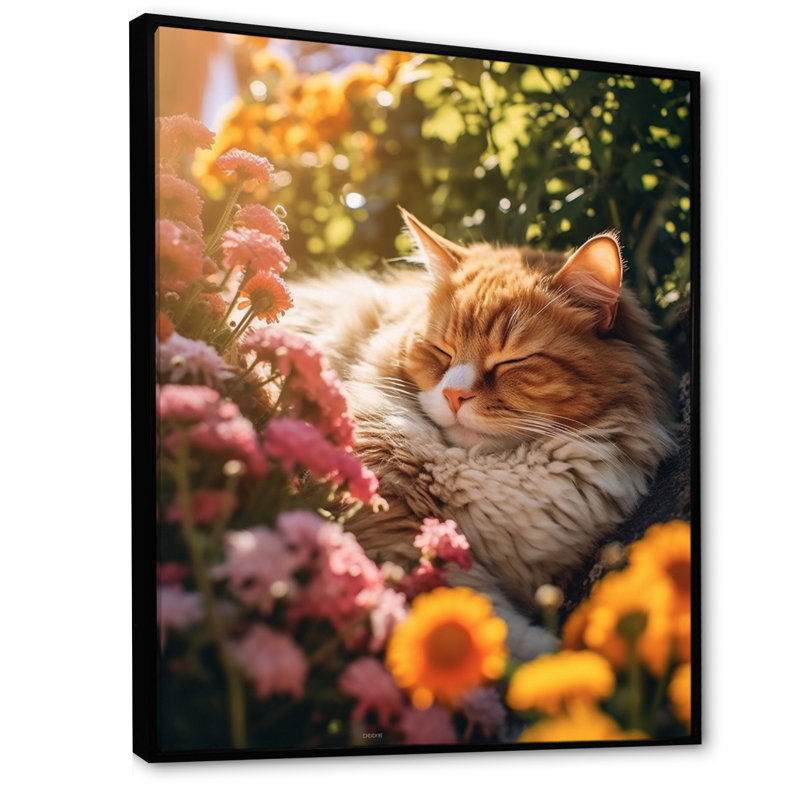 «Fluffy Cat Sleeping Sunny Flower Garden» sur impression sur toile, Cadre flottant noir, H 44 po x l 34 po x P 1,5 po