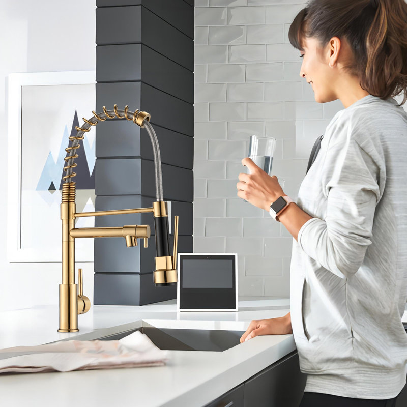Pdpbath Pull Down Kitchen Faucet
