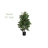 32'' Faux Fiddle Leaf Fig Tree in Pot