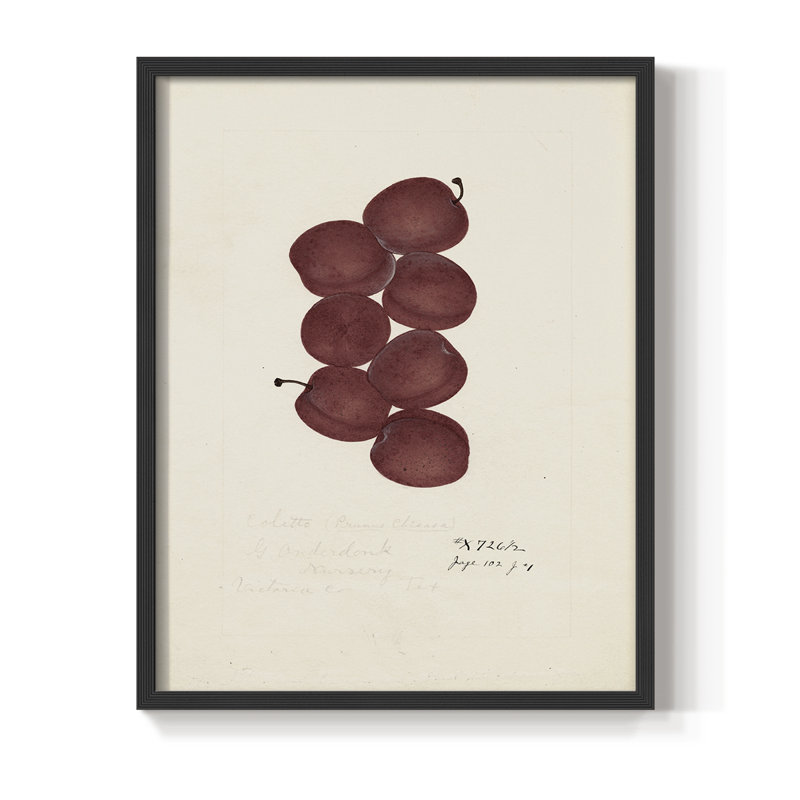 Impression florale vintage encadrée XLVI - bois massif, H 30 po x l 24 po, Noir, noir, noir, noir