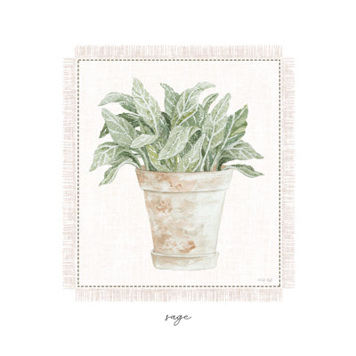 " Fresh Sage " by Cindy Jacobs