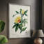 «Turpin Tropical Botanicals VI», reproduction encadrée - bois massif-436315279