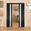 Dalle de porte standard en verre givré Planum-75685115-75685124