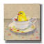  «Finch In A Cup» par Marvindale, art mural sur toile, 26 po x 26 po-68336056