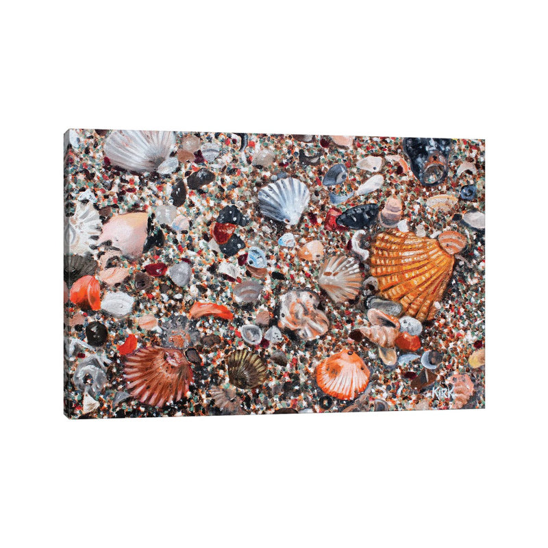 Seashells And Sand by Jerry Lee Kirk - Wrapped Canvas Gallery-Wrapped Canvas Giclée