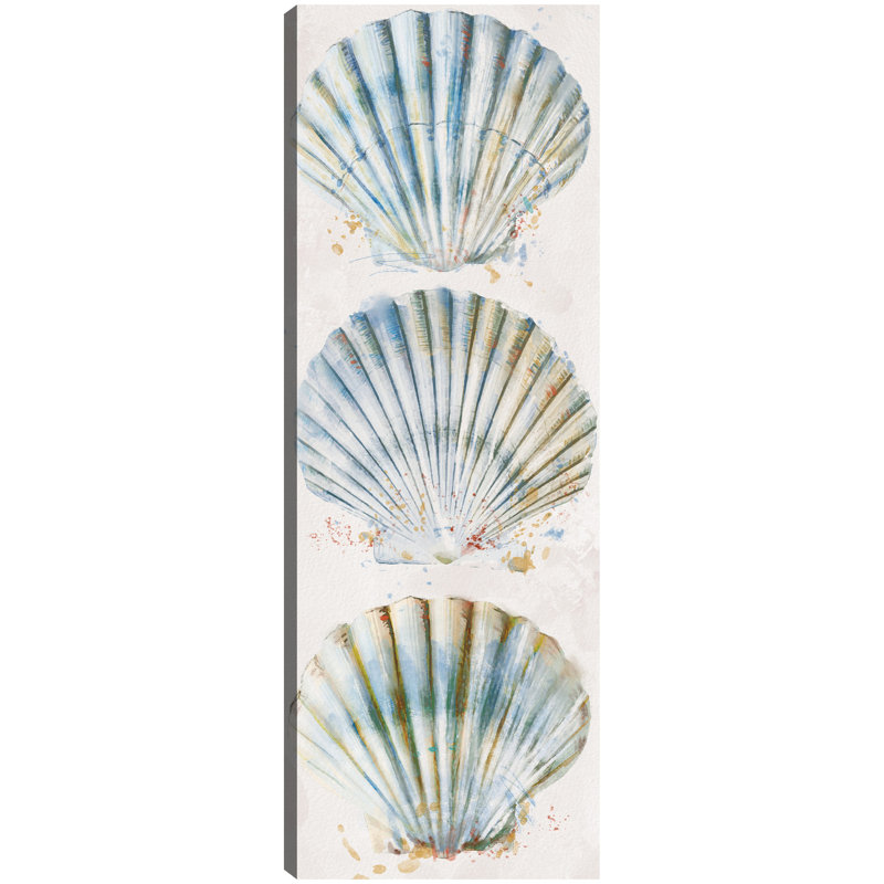 Shell Panel I By Studio Arts Canvas Art Print, Wrapped Canvas, 35" H x 13" W x 1.5" D