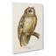 Short-eared Owl by Von Wright - Wrapped Canvas-55340698
