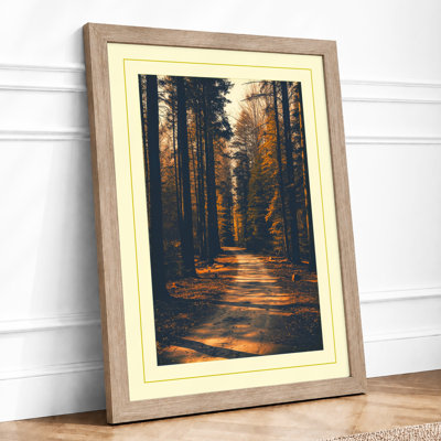 Forest Path Scandinavian - Framed Print