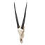 Sculpture Gemsbok
