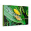 «Weevil Couple», art mural animal-974863752