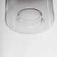 Daysy Single Light Glass Steel Dimmable LED Pendant