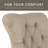 Almita Polyester Blend Task Chair