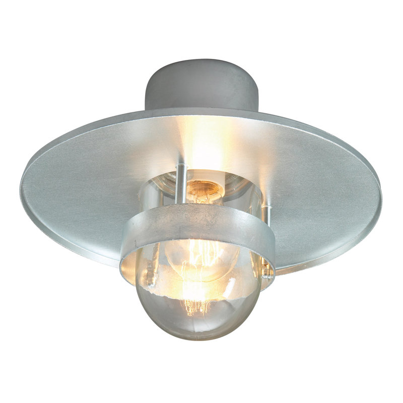 Bergen Outdoor Pendant, Galvanised, Clear