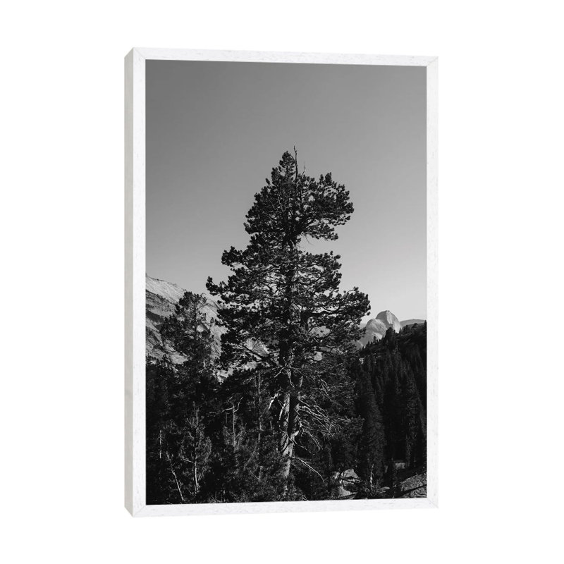 Olmsted Point, Yosemite National Park VI by Bethany Young - Print on Canvas, White Framed, 66.04cm H x 45.72cm W x 3.81cm D