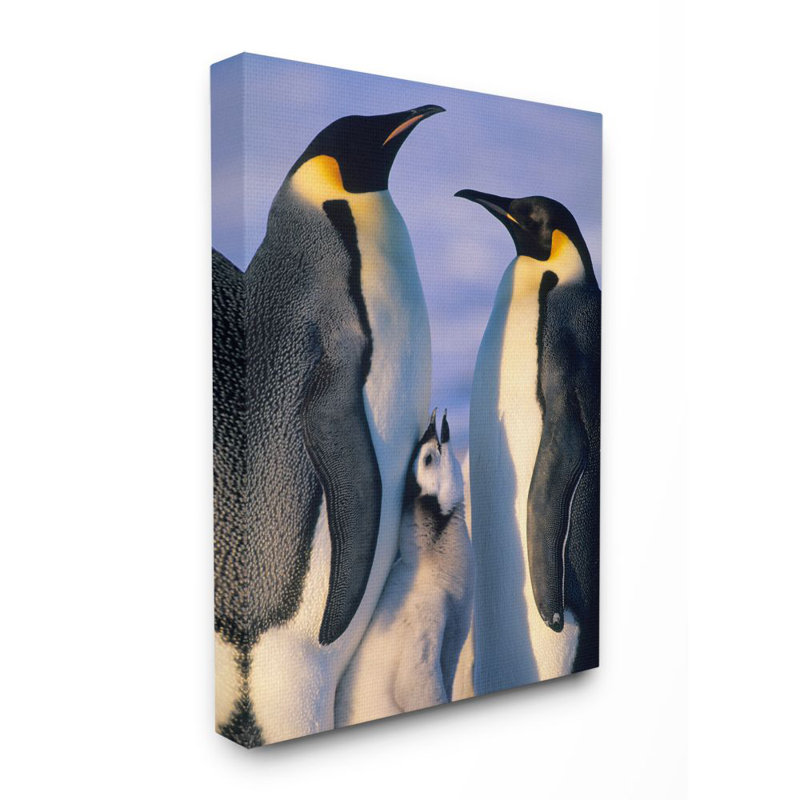 «Emperor Penguin Family adultes with Chick» par Kevin Schafer, reproduction de photo, H 20 po x l 16 po x P 1,5 po