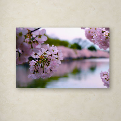 Nartuni "Cherry Blossoms 2014-2" par CATeyes, reproduction de photo sur toile tendue