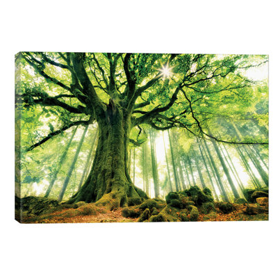 Christophe Kiciak - Wrapped Canvas Print