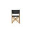 Padma Outdoor Patio Dining Armchair with Cushion