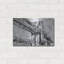 «Iconic Suspension Bridge II» par Ethan Harper-472768403
