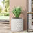 PLANTER